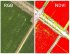 Квадрокоптер DJI Phantom 4 Multispectral + Мобильная станция D-RTK 2 High Precision GNSS в Омске