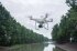 Сельскохозяйственный квадрокоптер DJI Phantom 4 мультиспектральный в Омске