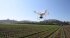 Сельскохозяйственный квадрокоптер DJI Phantom 4 мультиспектральный в Омске