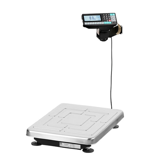 Весы ТВ-S-200.2-RP1 в Омске